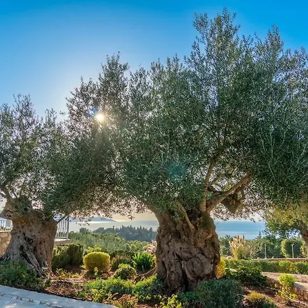 Fiscardo Luxury Stone Suzana ,with Sunset View! ヴィラ フィスカルドン