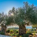 Fiscardo Luxury Stone Suzana ,with Sunset View! Βίλα Φισκάρδο